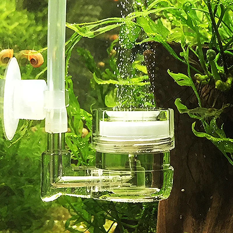 Live Plant Aquarium - Akvaryum 4'ü 1 Arada CO2 Difüzör