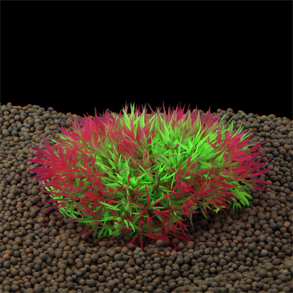 Yapay Su Çimi Akvaryum Bitki D - Aquarium Moss incelemesi ve fiyatı