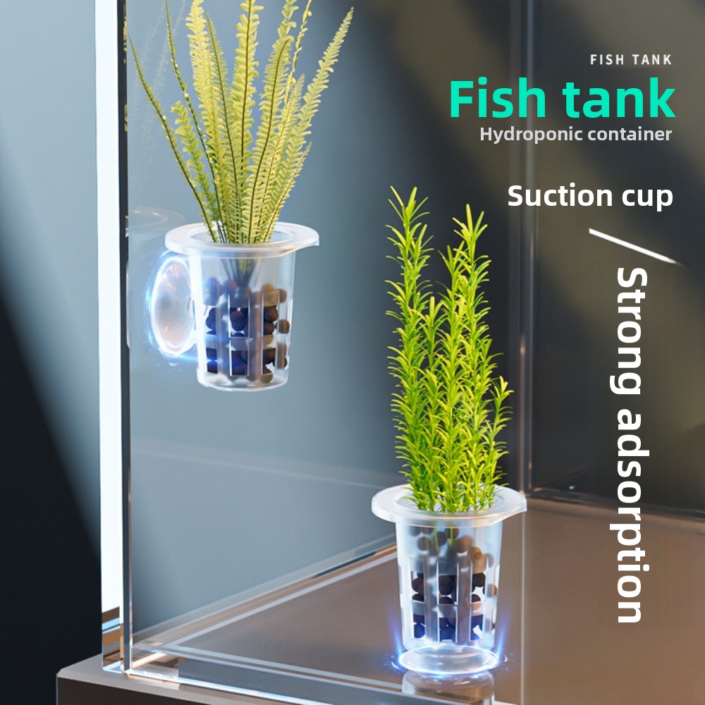 10 adet şeffaf bitki topraksız - Plant Aquarium Pot incelemesi ve fiyatı
