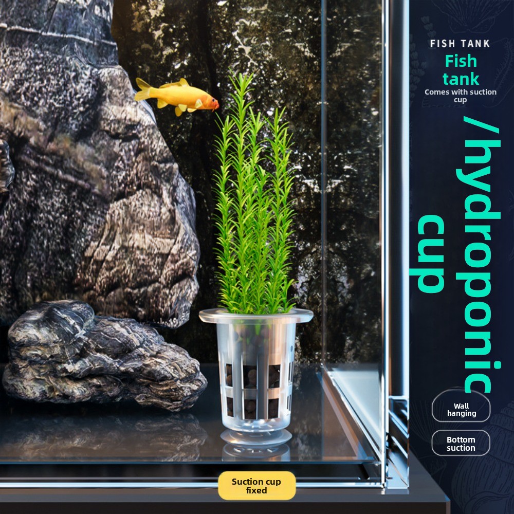 10 adet şeffaf bitki topraksız - Plant Aquarium Pot incelemesi ve fiyatı