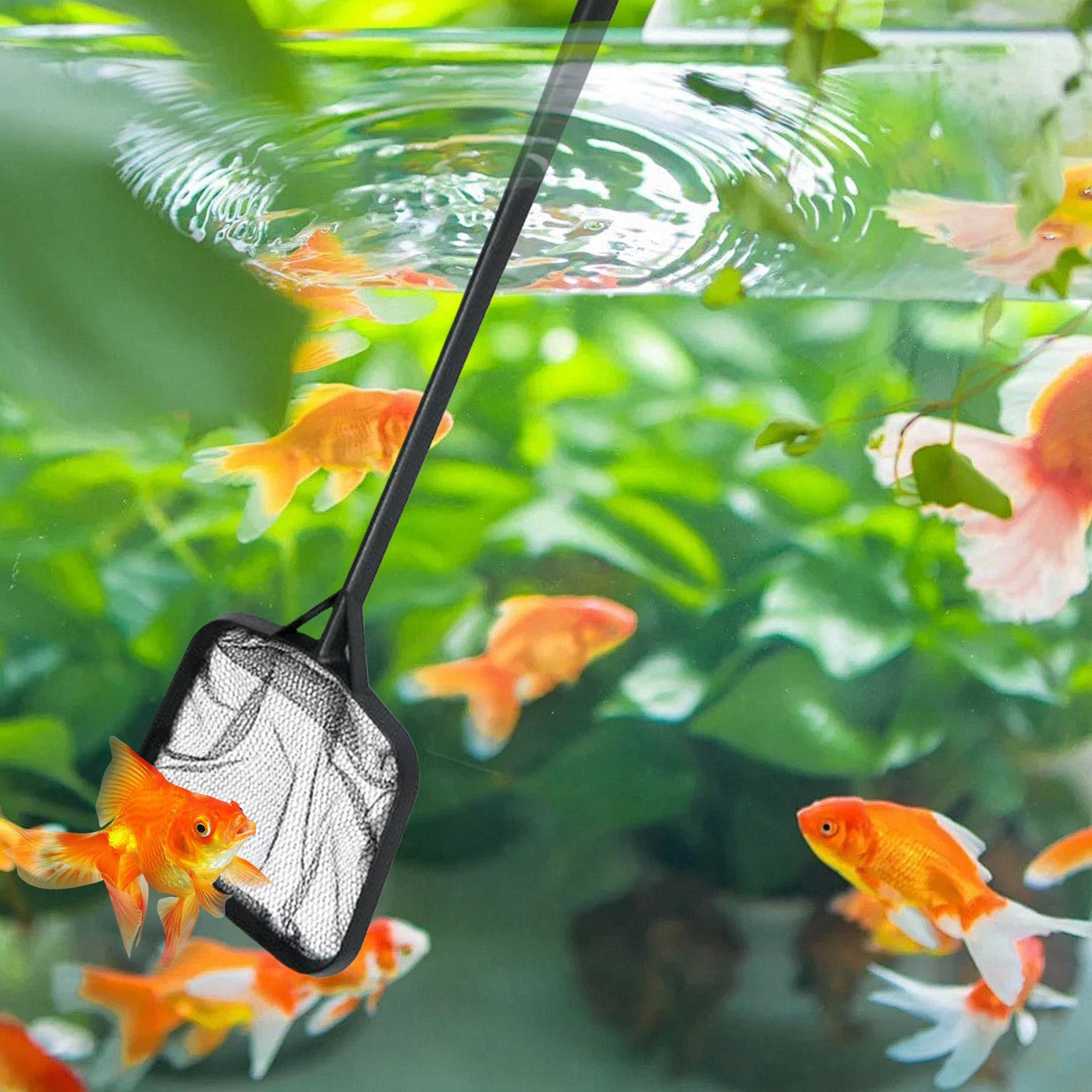 Havuz Temizleme Ağları Taşınab - Planted Aquarium Cleaning incelemesi ve fiyatı
