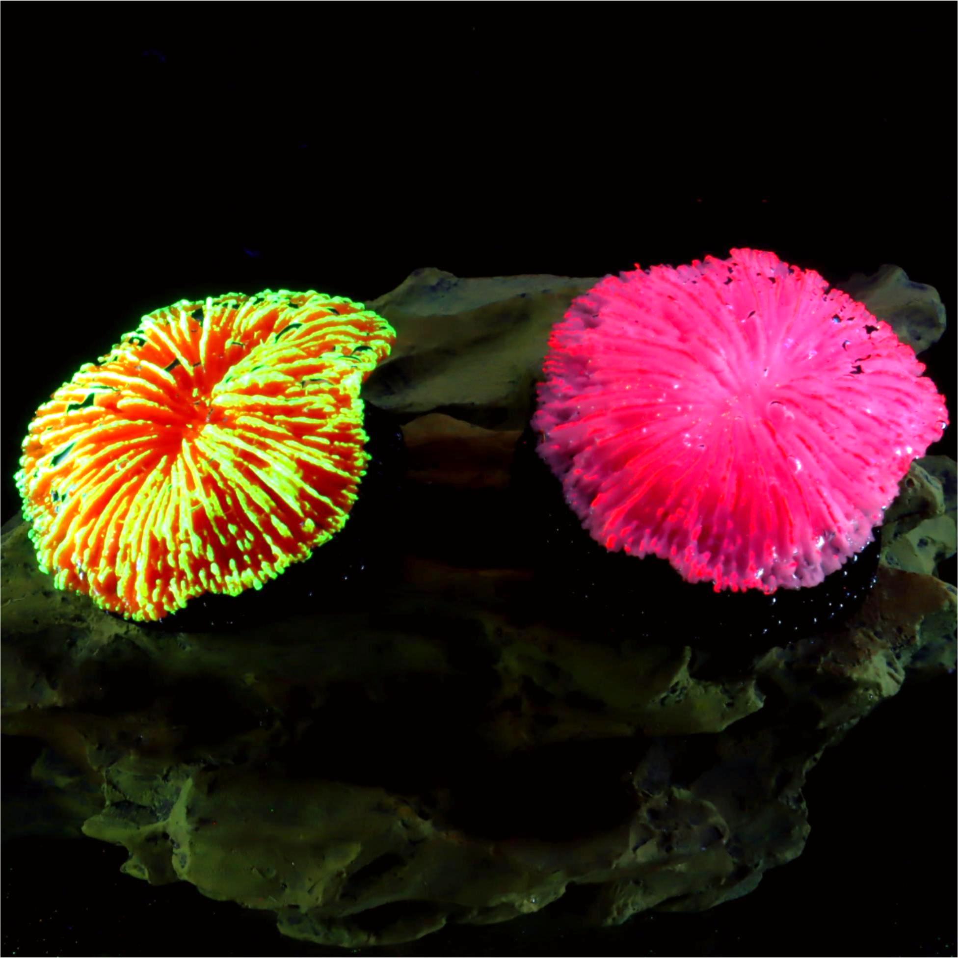 1 Adet Akvaryum Dekorasyonu Te - Live Plant Aquarium incelemesi ve fiyatı