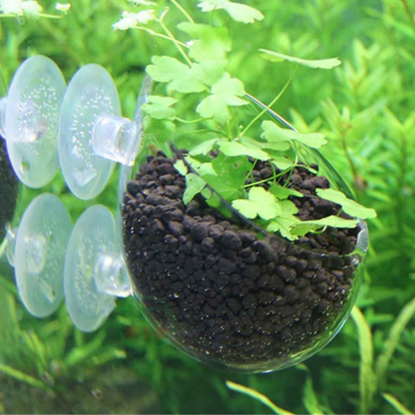 Akvaryum Bitki Tutucu Cam Su B - Plant Aquarium Pot incelemesi ve fiyatı