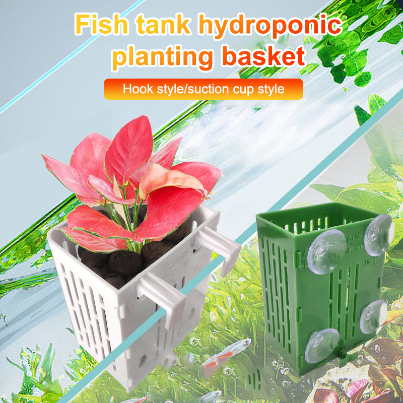 Asılı Vantuzlu Kanca Akvaryum  - Plant Aquarium Pot incelemesi ve fiyatı