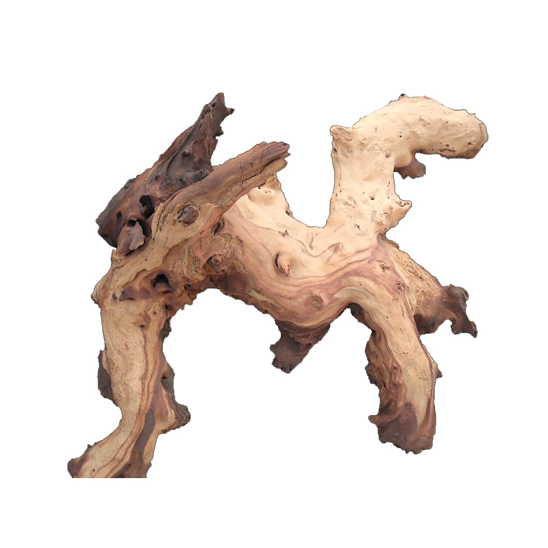 Mopani Kökleri Toptan Kaliteli - Aquarium Driftwood incelemesi ve fiyatı