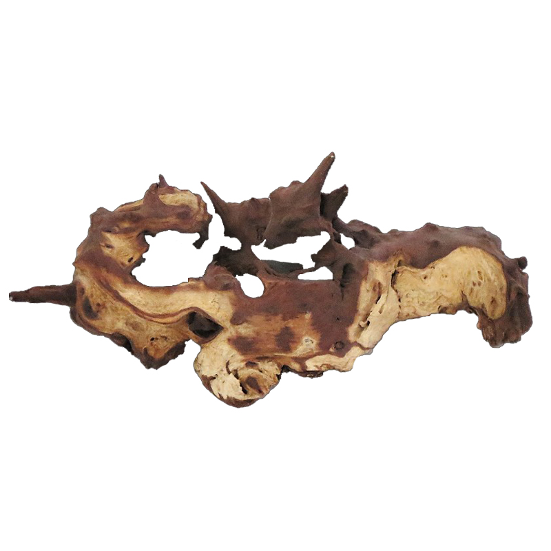 Mopani Kökleri Toptan Kaliteli - Aquarium Driftwood incelemesi ve fiyatı