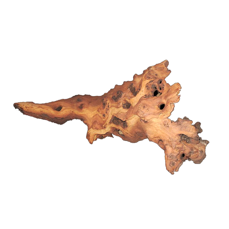 Mopani Kökleri Toptan Kaliteli - Aquarium Driftwood incelemesi ve fiyatı