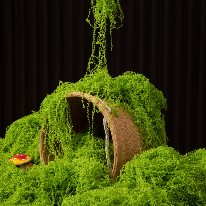 200g Ebedi Yaşam Yosun DIY El  - Aquarium Moss incelemesi ve fiyatı