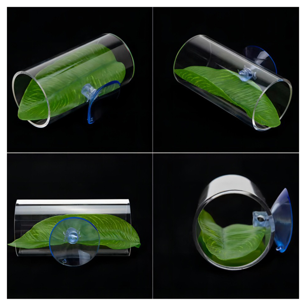 1 adet Akvaryum Betta Balık Ak - Live Plant Aquarium incelemesi ve fiyatı