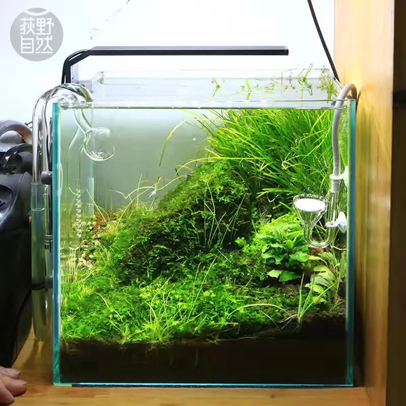 Spirürler C Serisi ADA Tarzı B - Aquarium Plant Light incelemesi ve fiyatı