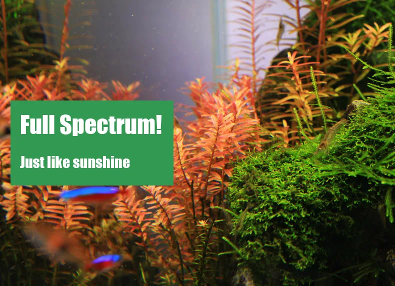 Spirürler C Serisi ADA Tarzı B - Aquarium Plant Light incelemesi ve fiyatı
