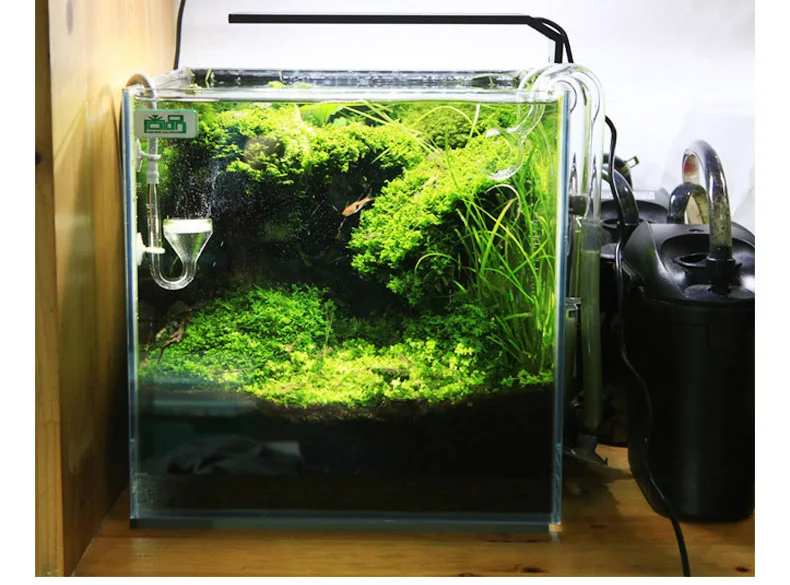 Spirürler C Serisi ADA Tarzı B - Aquarium Plant Light incelemesi ve fiyatı