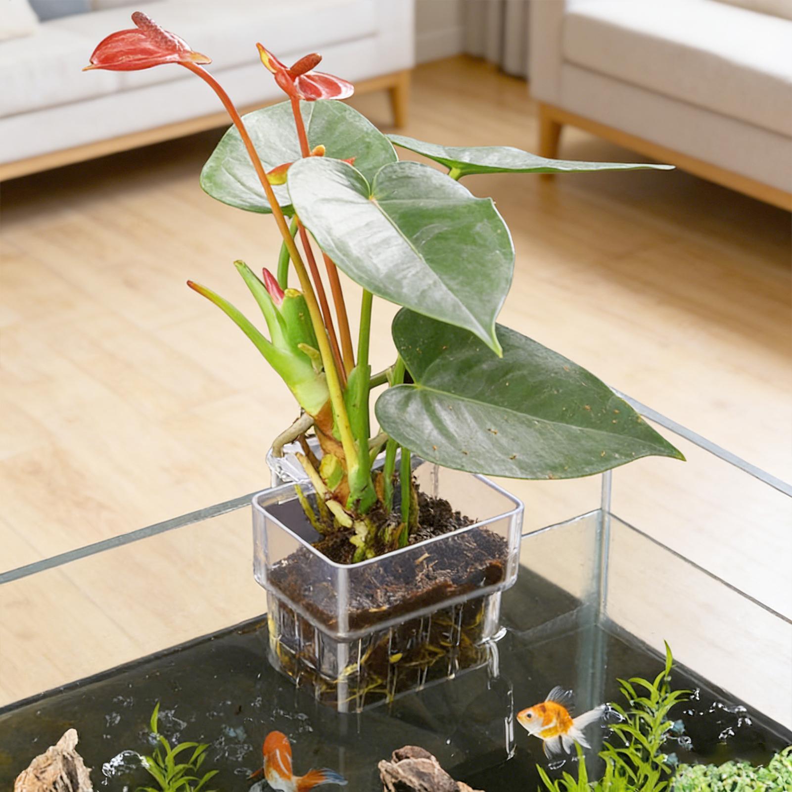 Akvaryum Bitki Sepeti Şeffaf B - Plant Aquarium Pot incelemesi ve fiyatı