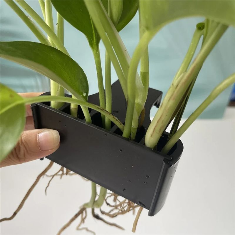 AT05-Akvaryum Saksısı, Akvaryu - Live Plant Aquarium incelemesi ve fiyatı