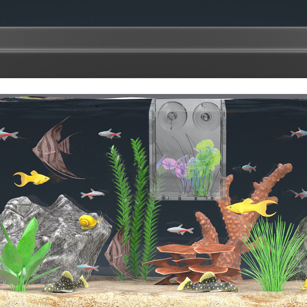3 Adet Akvaryum Bitki Tutucu,  - Plant Aquarium Pot incelemesi ve fiyatı