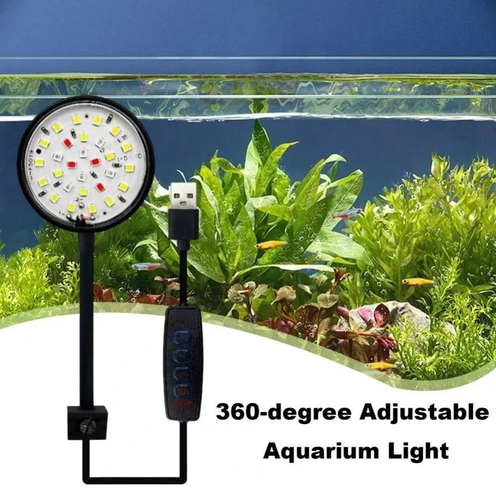 Yeni Mini akvaryum takılabilir - Live Plant Aquarium incelemesi ve fiyatı