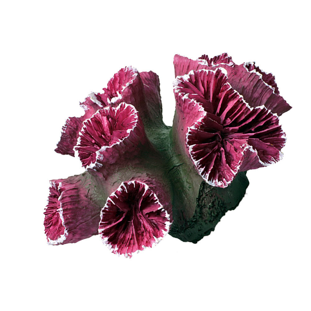 Premium Reçine Mercan Süsü, Ak - Live Plant Aquarium incelemesi ve fiyatı