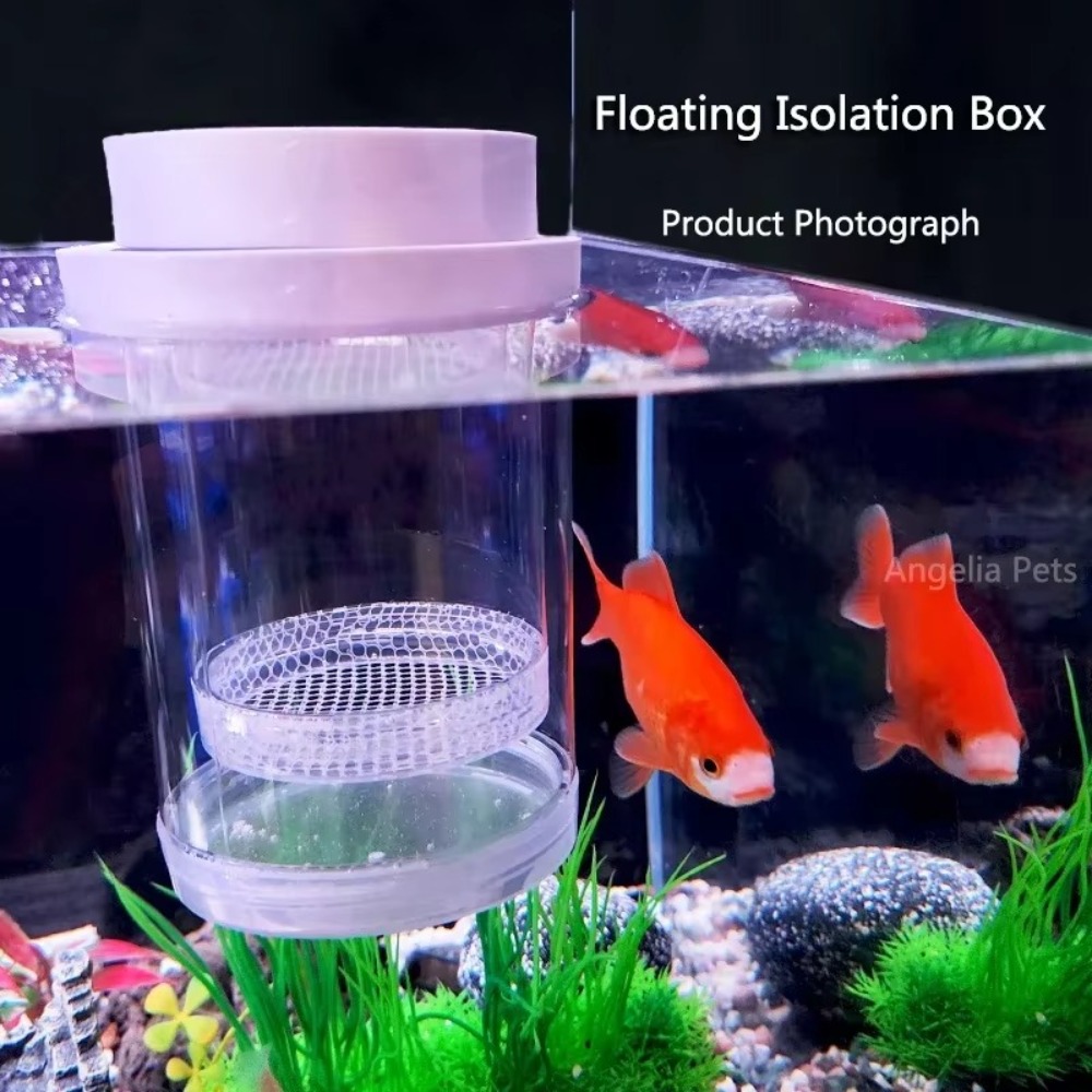 Plastik Yüzen Balık Yetiştiric - Aquarium Fertilizer incelemesi ve fiyatı