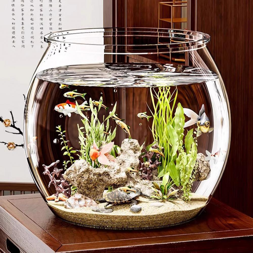 Şeffaf Plastik yuvarlak balık  - Plant Aquarium Pot incelemesi ve fiyatı