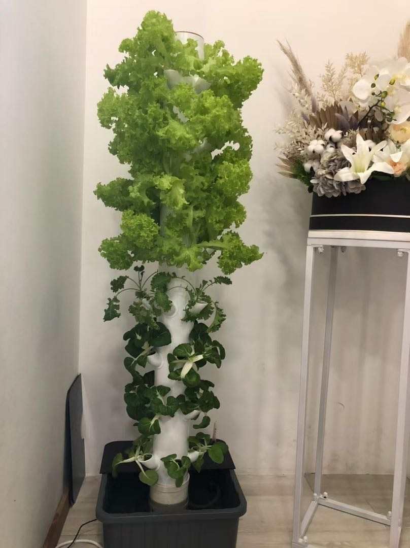 Dikey Hidroponik Yetiştirme Ku - Planted Tank incelemesi ve fiyatı