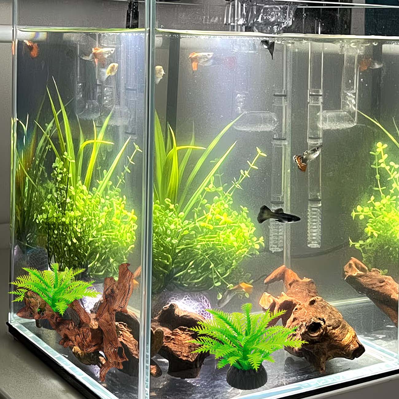 5-10CM Doğal Batan Kökler Akva - Aquarium Driftwood incelemesi ve fiyatı