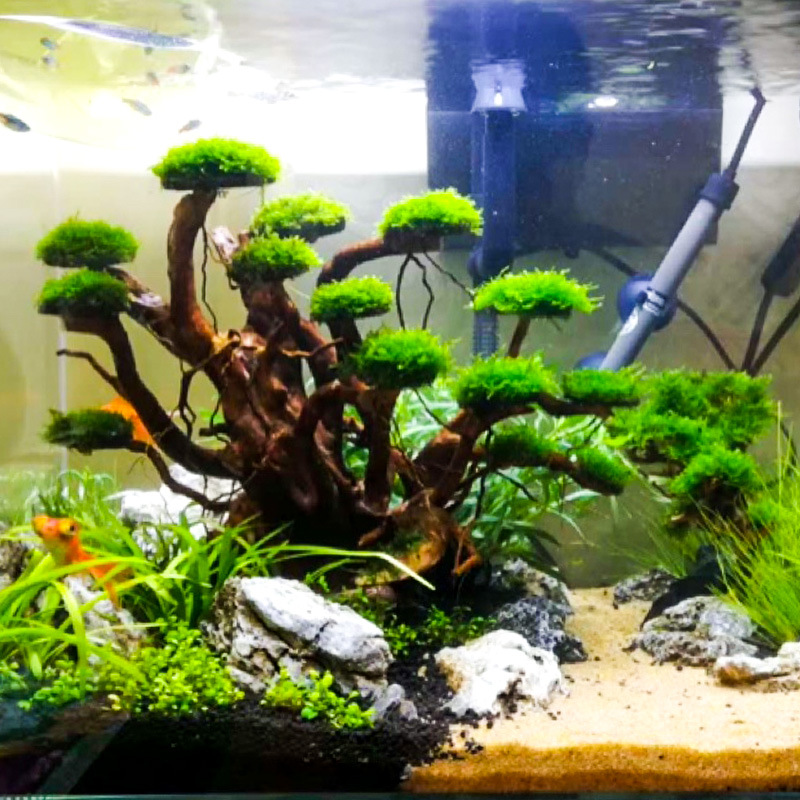 Akvaryum Peyzaj Süslemeleri Yo - Aquarium Driftwood incelemesi ve fiyatı