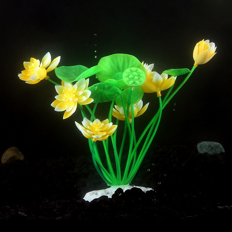 10 adet Masaüstü Balık Tankı D - Live Plant Aquarium incelemesi ve fiyatı