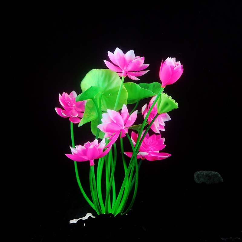 10 adet Masaüstü Balık Tankı D - Live Plant Aquarium incelemesi ve fiyatı