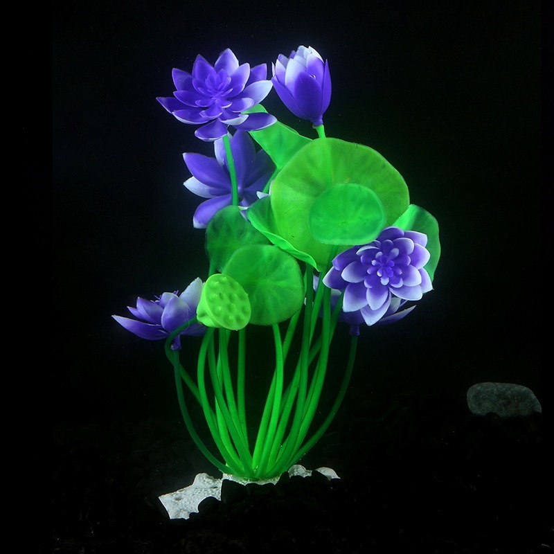 10 adet Masaüstü Balık Tankı D - Live Plant Aquarium incelemesi ve fiyatı