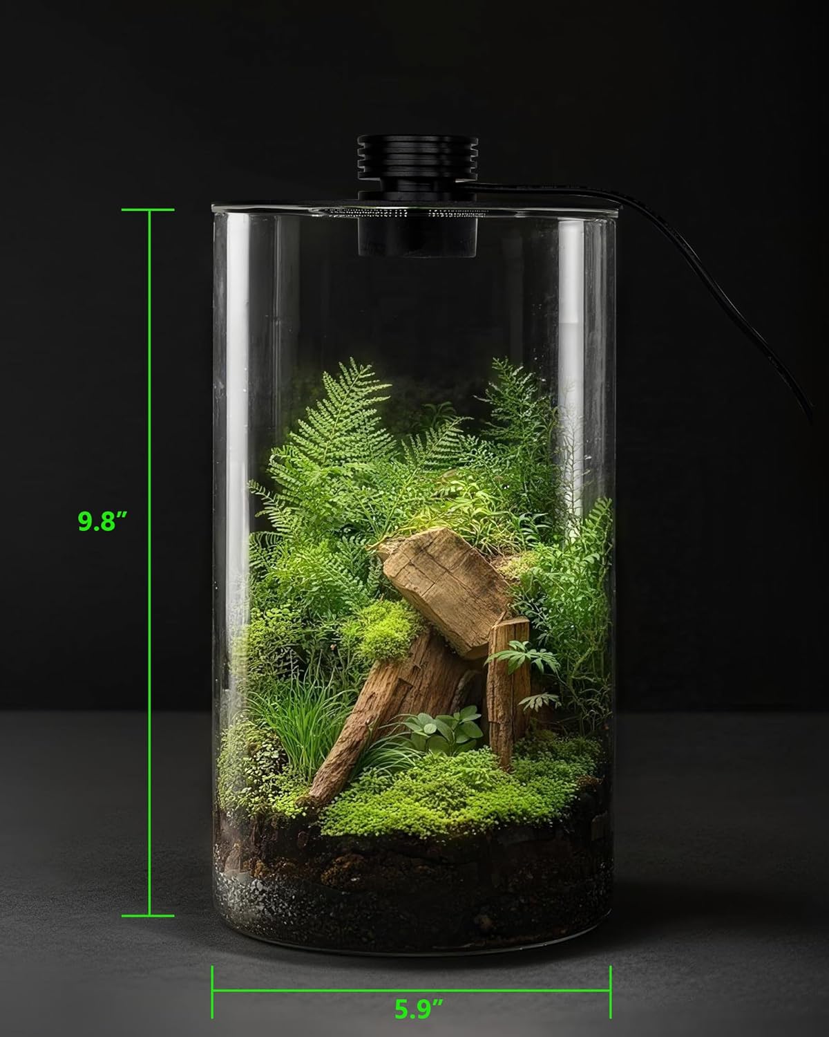 İç Mekan Cam Teraryumu, Büyütm - Planted Tank incelemesi ve fiyatı