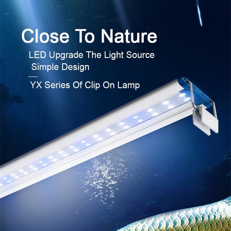 Balık tankı için genişletilebi - Aquarium Plant Light incelemesi ve fiyatı