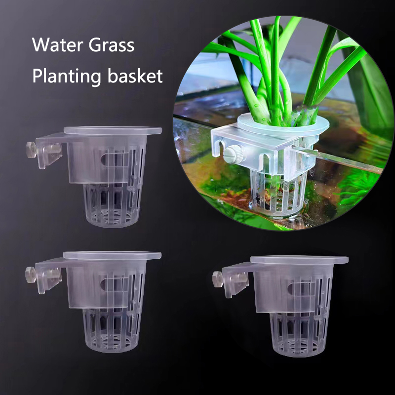 Akvaryum dikim sepeti hidropon - Aquarium Plants Live incelemesi ve fiyatı