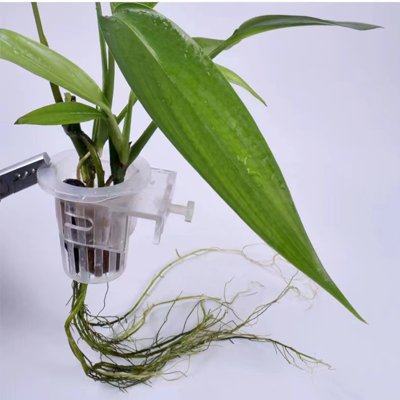 Akvaryum dikim sepeti hidropon - Aquarium Plants Live incelemesi ve fiyatı