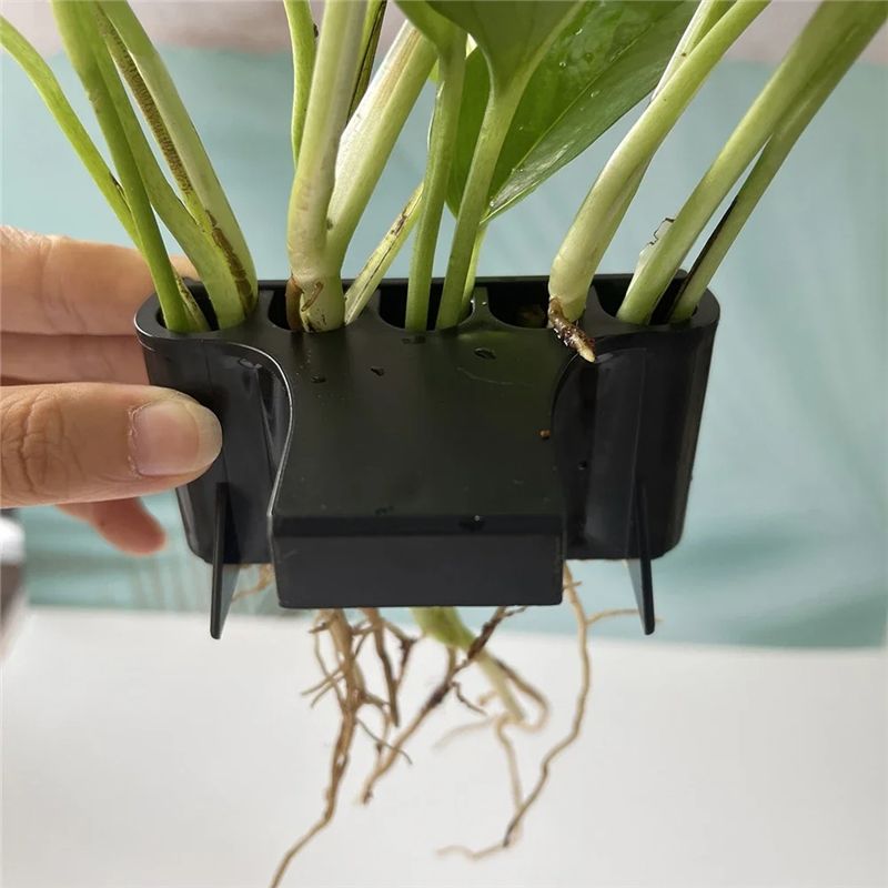 THIVN-Akvaryum Saksısı, Akvary - Live Plant Aquarium incelemesi ve fiyatı