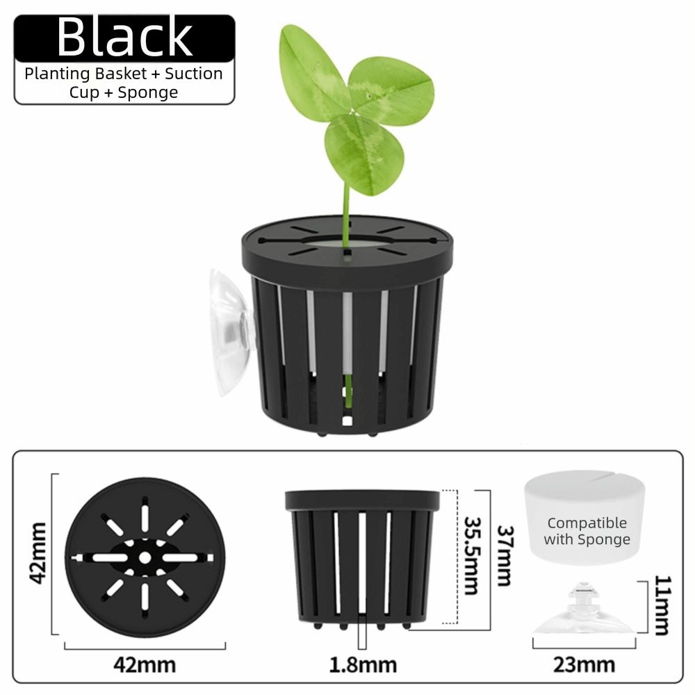 Su Bitkisi Standı Balık Tankı  - Plant Aquarium Pot incelemesi ve fiyatı